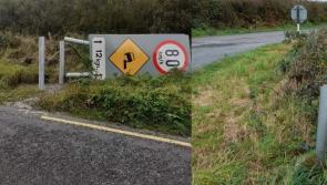 Road sign serial cutter on the loose in Kilkenny? 