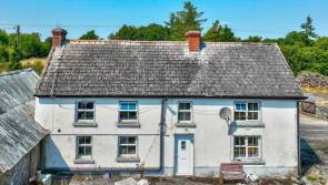 This Kilkenny property has a guide price of just €60k!