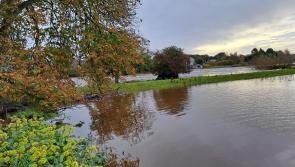 Flooding in South Kilkenny this morning 