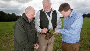 Kilkenny farms join  Guinness Regenerative Agriculture pilot scheme