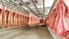 Agri-food sector struggling to hire staff 