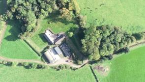 Farm in Kilkenny with a range of buildings set to make up to €1.5million - see pics!