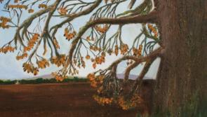Celebrating two decades of work by Eileen Mulrooney in Callan