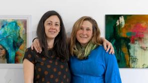 Emergence - an exhibition at the Watergate in Kilkenny