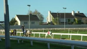 Free admission at Kilkenny Greyhound Stadium tonight