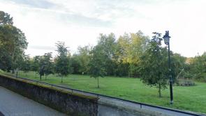 Concerns over increase of anti-social behaviour in Kilkenny park