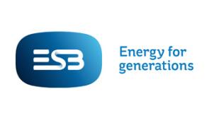 ALERT: Power restored to over 500 people in Kilkenny 