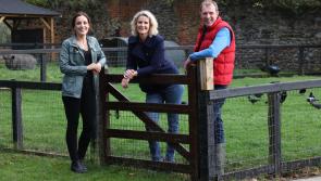 Kilkenny's largest farm sale in 30 years to feature on RTE tonight!