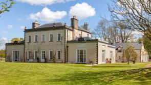 Have you seen the pics of this magnificent Kilkenny mansion for sale? 