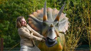 Kilkenny's Newpark Hotel appoints 'Head Dinosaur Ranger'