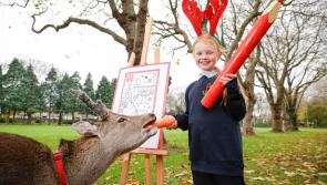 Kilkenny kids- win a visit from 'Deermuid the Deer' to your school!