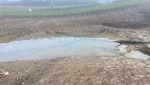Remnants of forgotten community unearthed in Kilkenny 