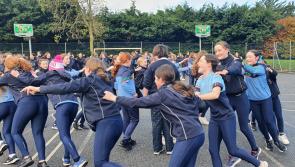 Presentation Kilkenny students enjoy Wellbeing Day