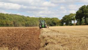 Kilkenny farmers finding it difficult to secure sufficient farm labour - FRS
