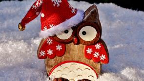 20 amazing facts about Christmas that everyone should know - Kilkenny Live
