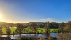 Six Kilkenny walks to enjoy this weekend in the sunshine - click for list!