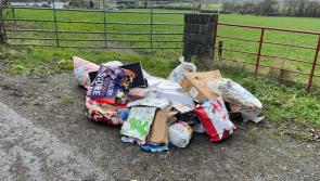 Mayor highlights dumping incident in Kilkenny