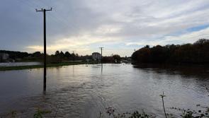 Television and radio to channel focus on environmental shows with BAI  funding awards 