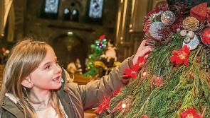 Popular Kilkenny Christmas festival returns this Thursday!