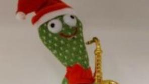ALERT: Dancing cactus toy poses potential choking hazard - Kilkenny Live
