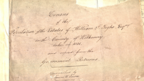 Counting Cats - only remaining record of 1831 Census found in Kilkenny!