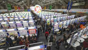 Primary Science Fair gets under way at day two of BT Young Scientist and Technology Exhibition