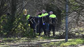Kilkenny gardaí release description of suspect in Linear Park attack