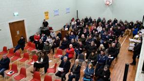Community set to resist planned wind farm in Kilkenny