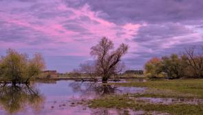 Vast majority of people in Kilkenny concerned about climate change