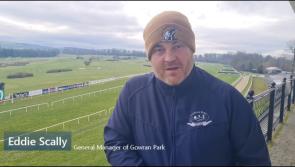 WATCH: Racing tips for Kilkenny's Goffs Thyestes