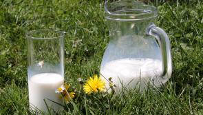 Price war on milk could do serious damage to KIlkenny liquid milk producers - IFA