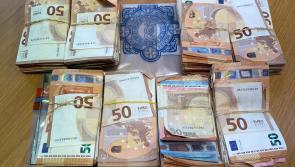 €130,000 in cash seized by gardaí on the N7, woman arrested