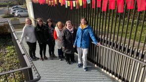 Garden Exhibition at Butler Gallery in Kilkenny to celebrate Brigid’s Day 