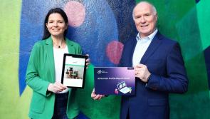 Kilkenny registers over 800 new .ie domain names