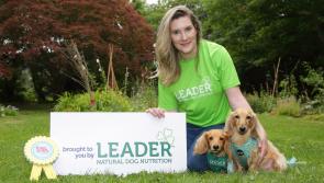 Day in the Life of Ailish Durkin, from Kilkenny's Red Mills