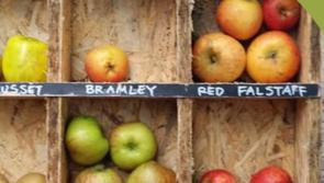 Keep Kilkenny Beautiful to give away 250 apple trees