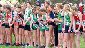 Community amenity area needed in Rosbercon - Kilkenny councillors told