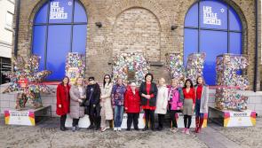 One Million Stars project opens at The Goods Shed in Kilkenny