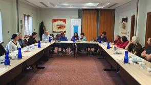 Kilkenny Access Group expands, and forms new committee