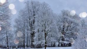 Short, sharp, shock of winter weather forecast in Kilkenny 