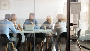 Employment levels in Ireland reach record high 