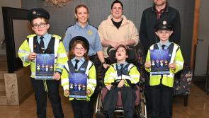 Little Blue Heroes set to benefit from Kilkenny's Bluelight Ball