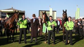 Willie Mullins  three Champion Hurdle heroes to feature in new TG4 Series