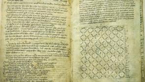 Efforts to be made to bring ancient Pangur Bán to Kilkenny for display