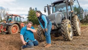 Woodsgift hosts Kilkenny Ploughing season finale