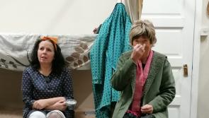 Widows on the rampage in South Kilkenny 