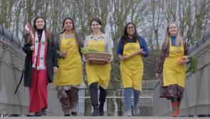Kilkenny embraces its multi-cultural communities with series of Global Kitchen events 