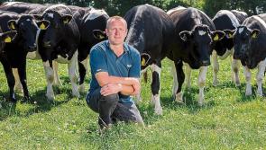 Kilkenny farm leader accuses Department of ‘doing its own thing’ on timelines