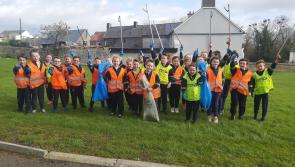 'Let's Team up To Clean Up' under way in Kilkenny