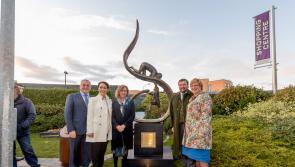 Business to Arts Awards callout for Kilkenny entries
